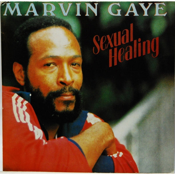 Sexual Healing by Marvin Gaye (D)