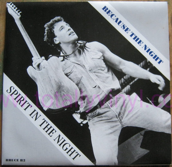 Because The Night by Bruce Springsteen (C#m)