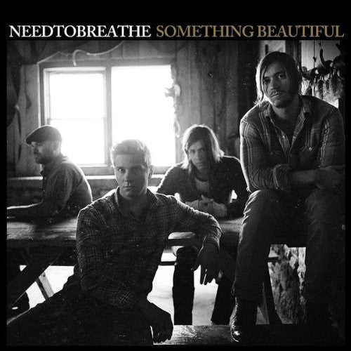 Something Beautiful by Needtobreathe (Db)