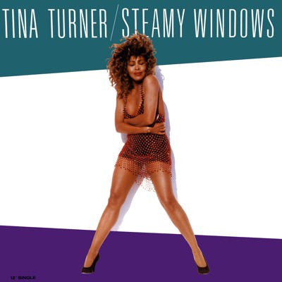 Steamy Windows by Tina Turner (Em)