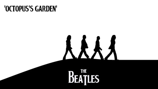 Octopus's Garden by Beatles (E)